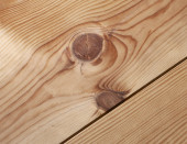 French Pine (Maritime)