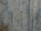 Lifetime Oak under
