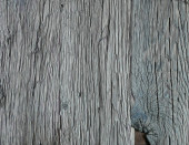 Lifetime Oak upper